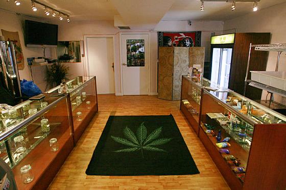 Images Treasure Tree Dispensary