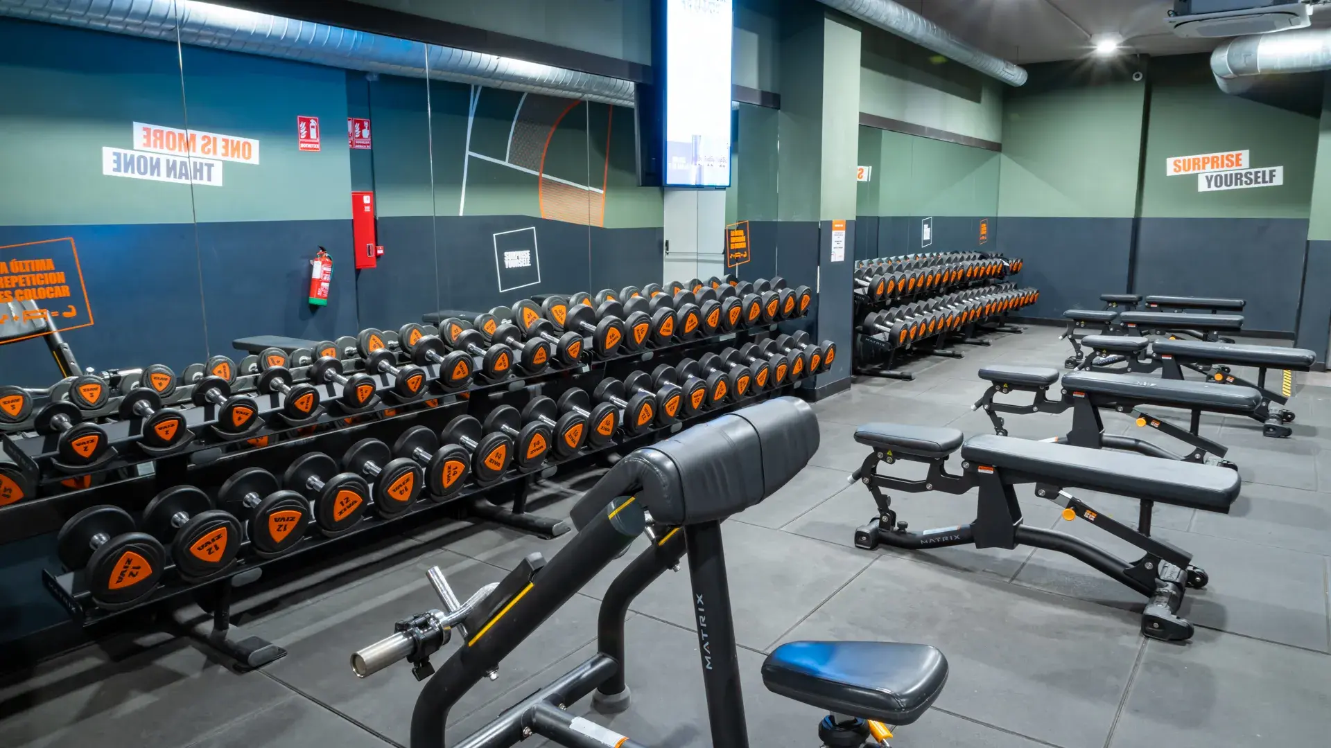 Galería en miniatura