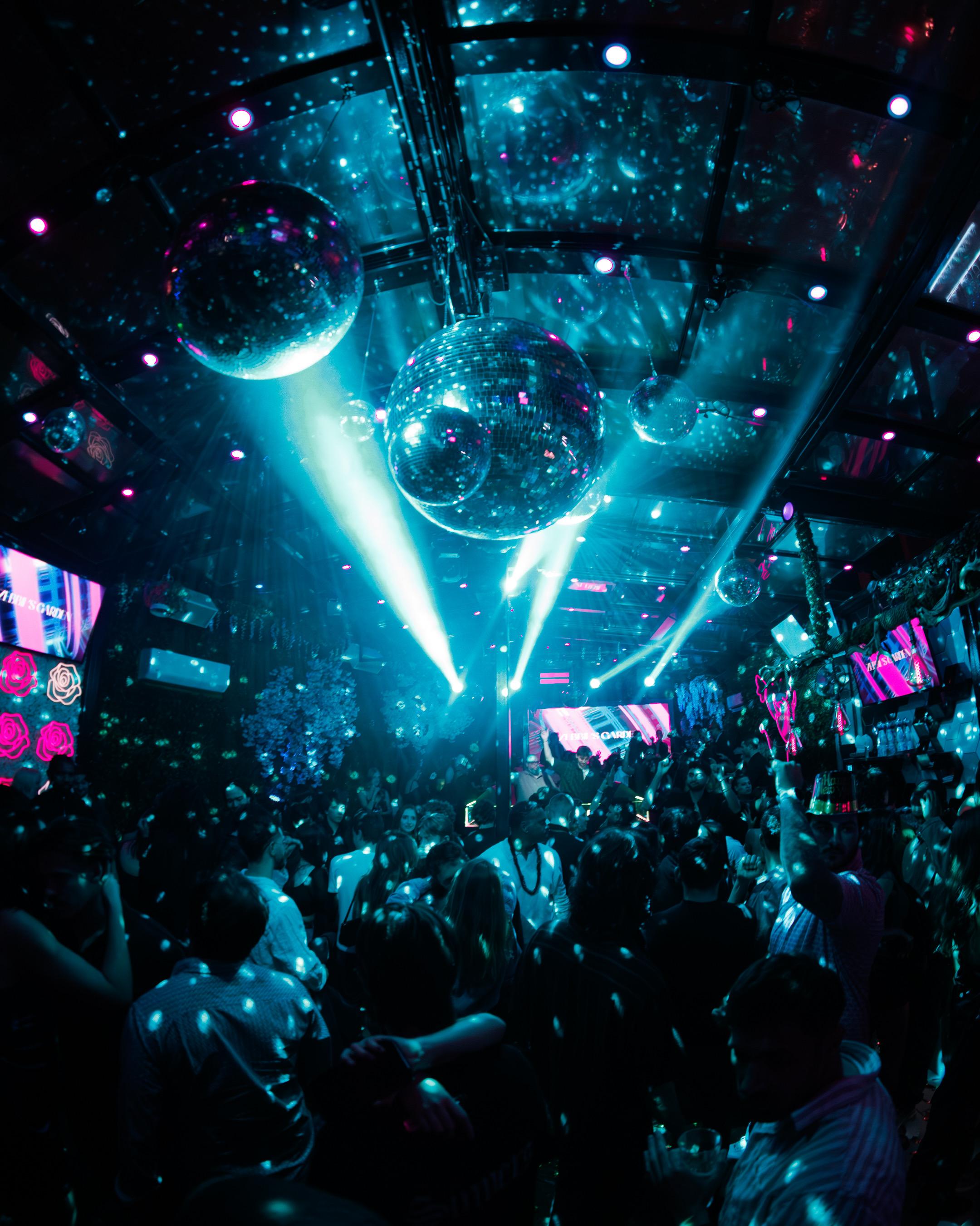 Zebbie's Garden Image