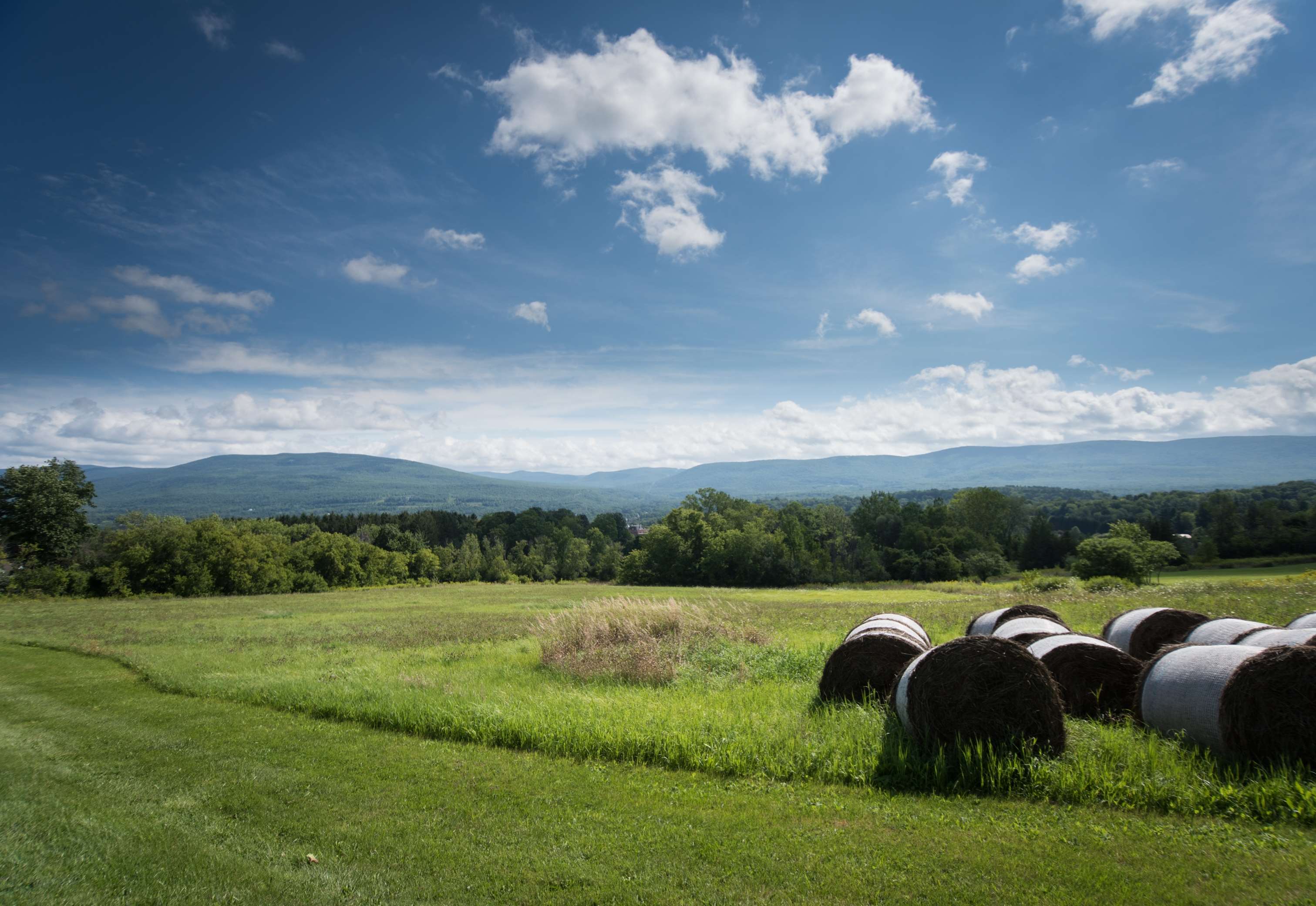 Best Western Bennington Photo