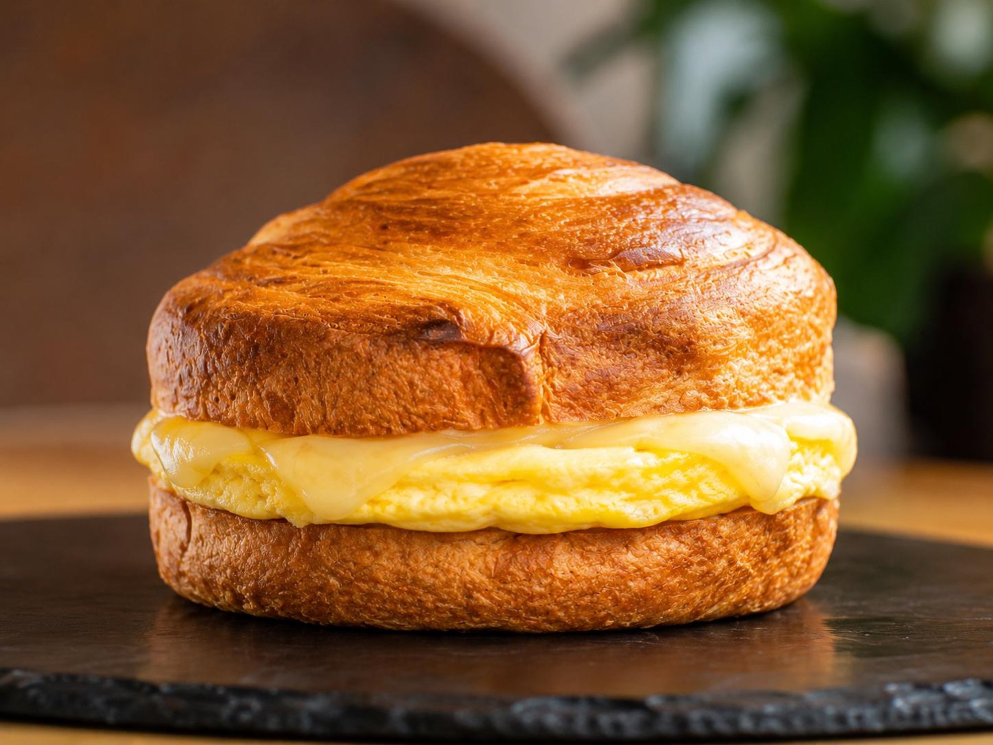 Egg & Cheese