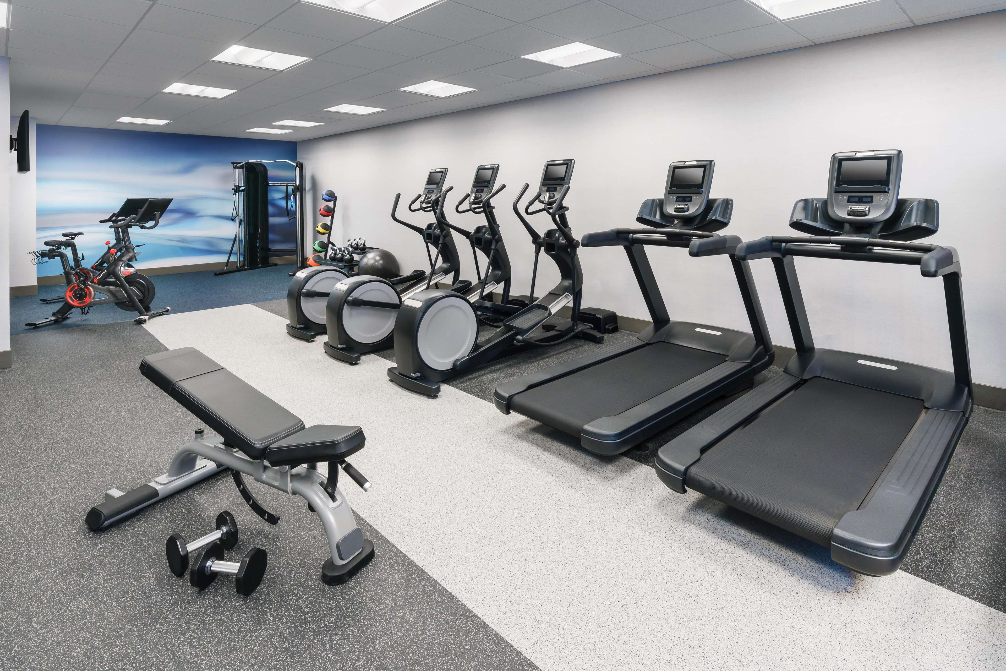 Health club  fitness center  gym