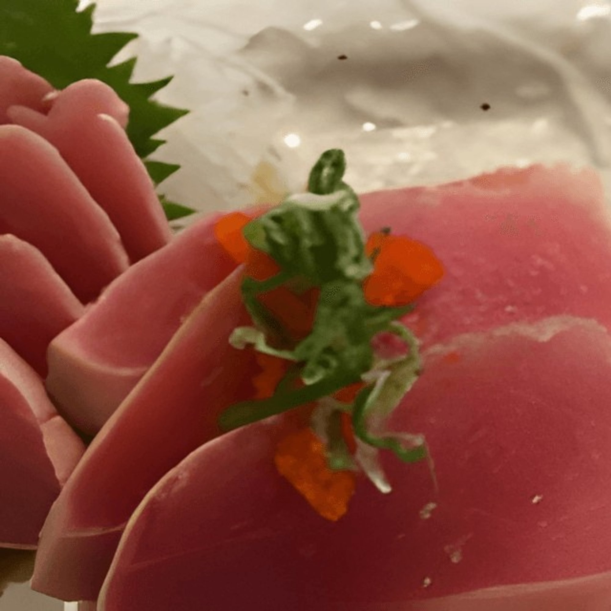 Albacore / Bincho Maguro Sashimi