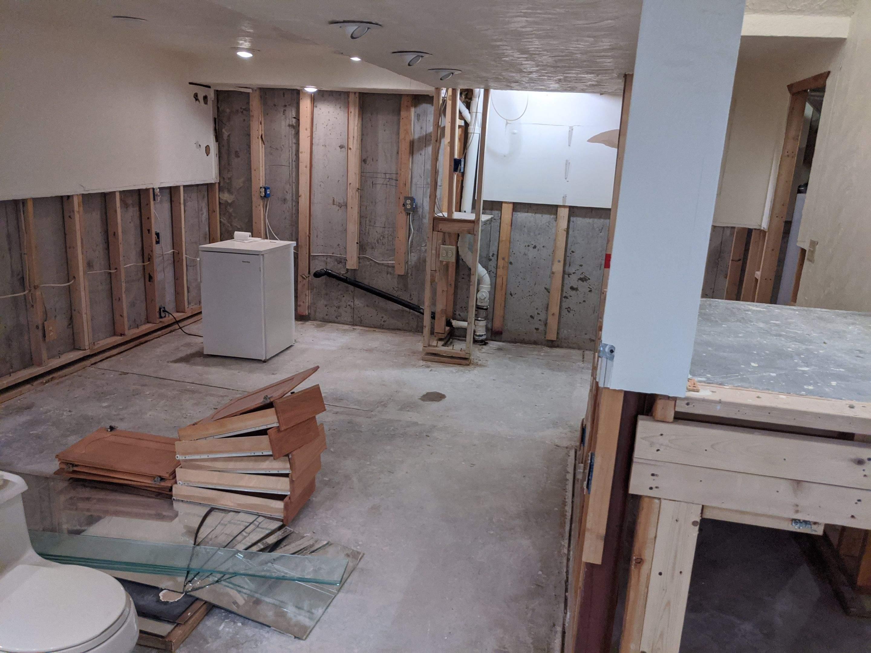 Anatom Restoration Image