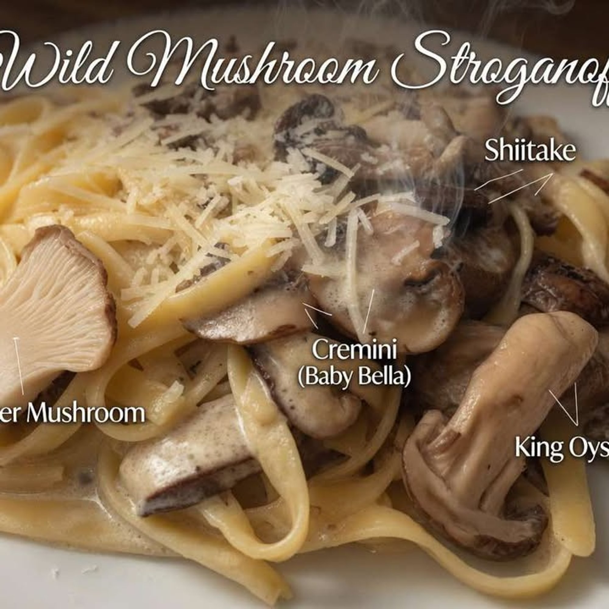 Stroganoff