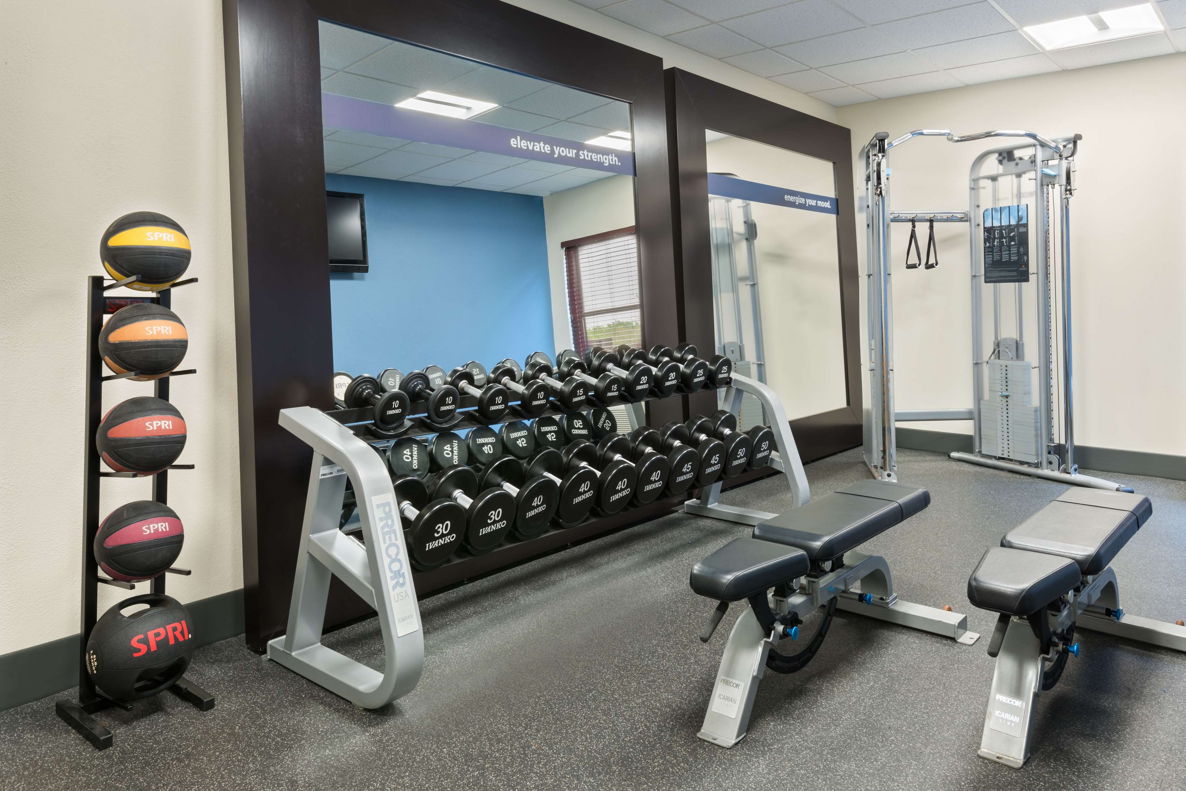 Health club  fitness center  gym