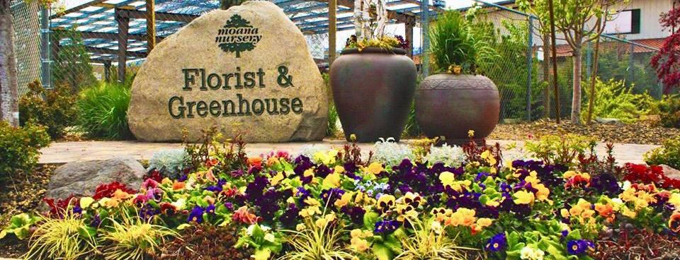 moana nursery in reno nv 775 853 1 moana nursery in reno nv 775 853 1