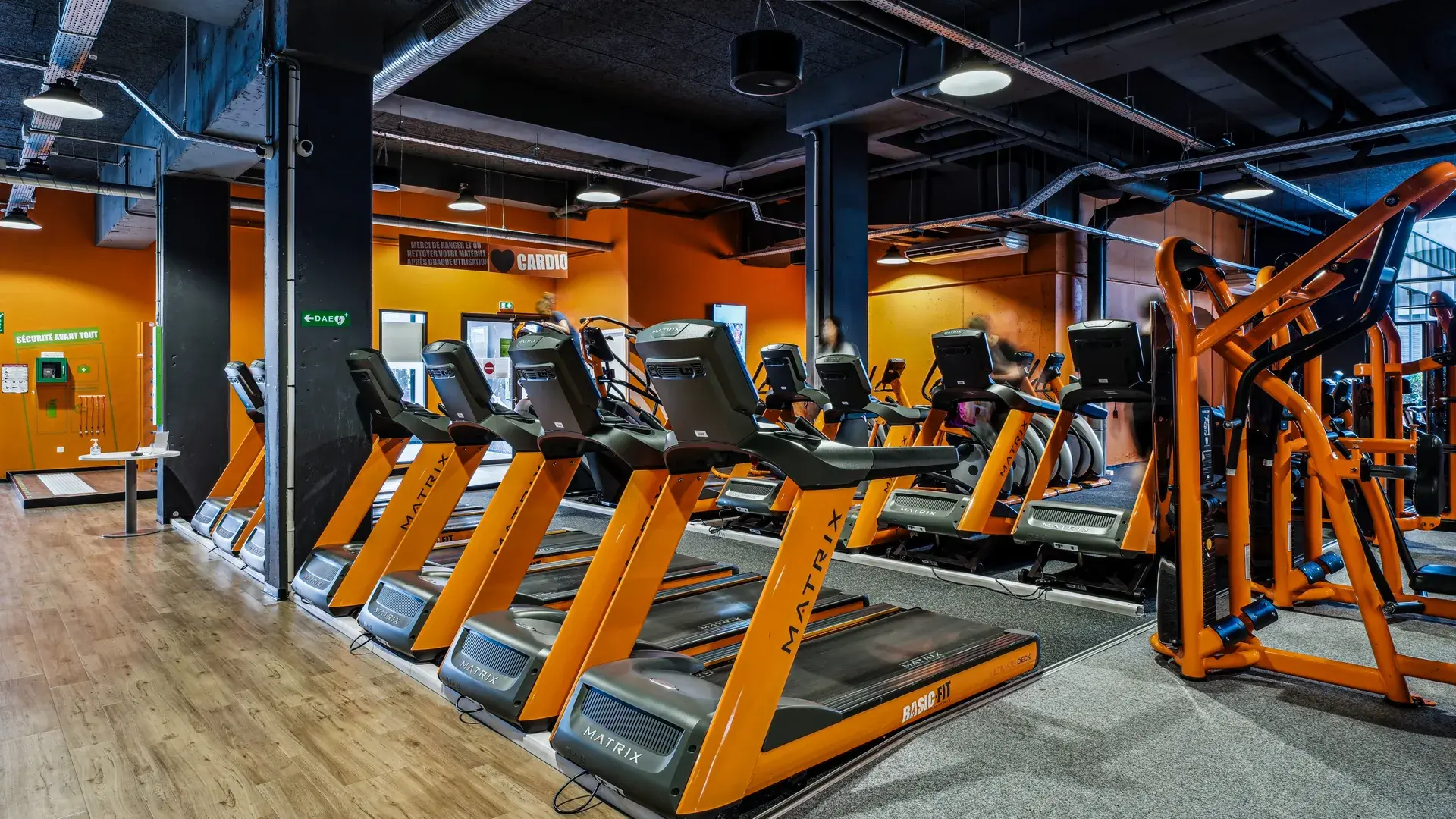 Miniature de la galerie