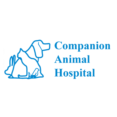 Companion Animal Hospital Photo