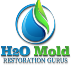 H2O Mold Restoration Gurus