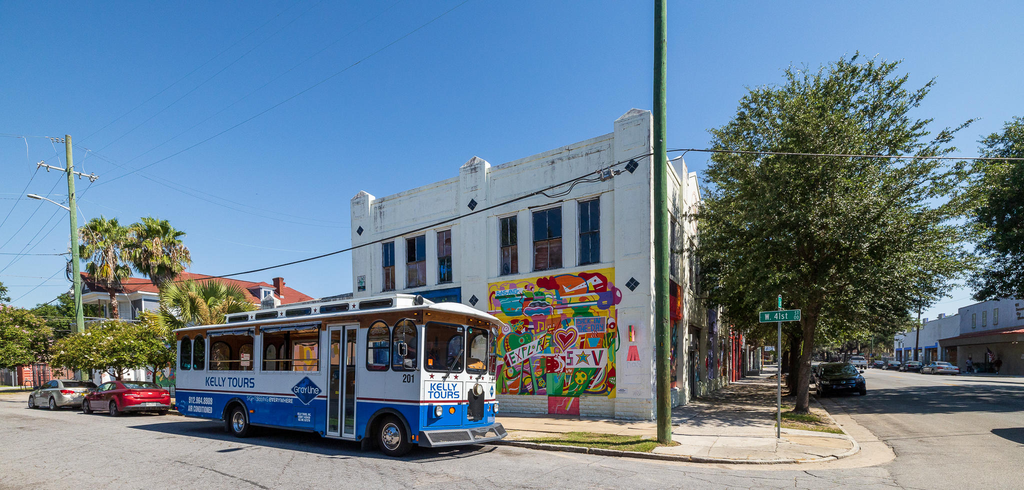 Gray Line Savannah Photo