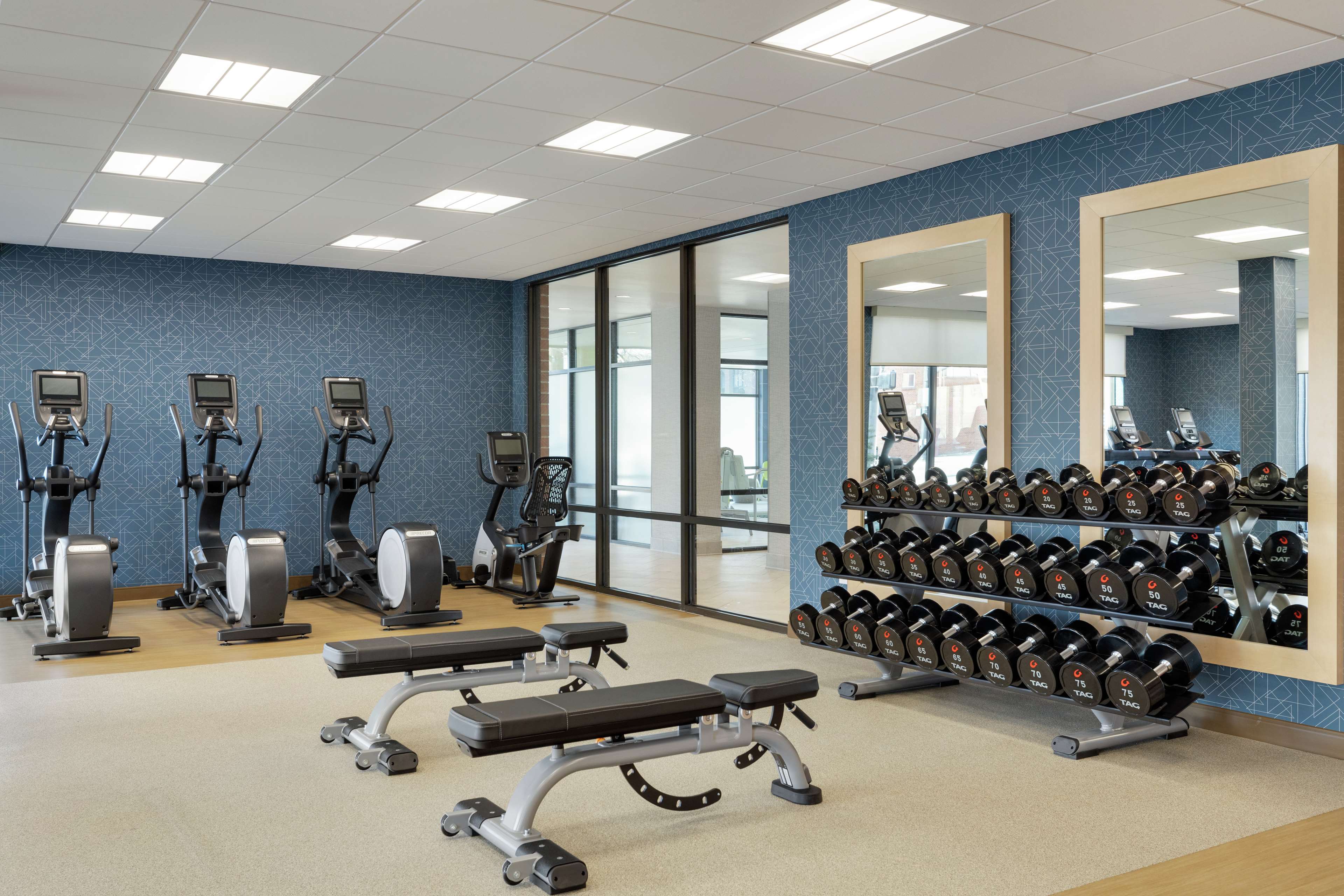 Health club  fitness center  gym