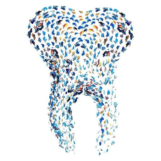 Piedmont Dentistry - Charlotte Dentist