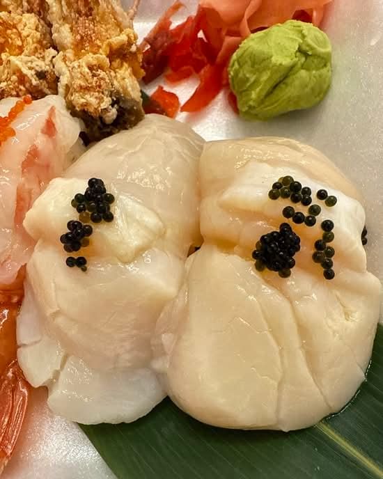 Japanese Scallop