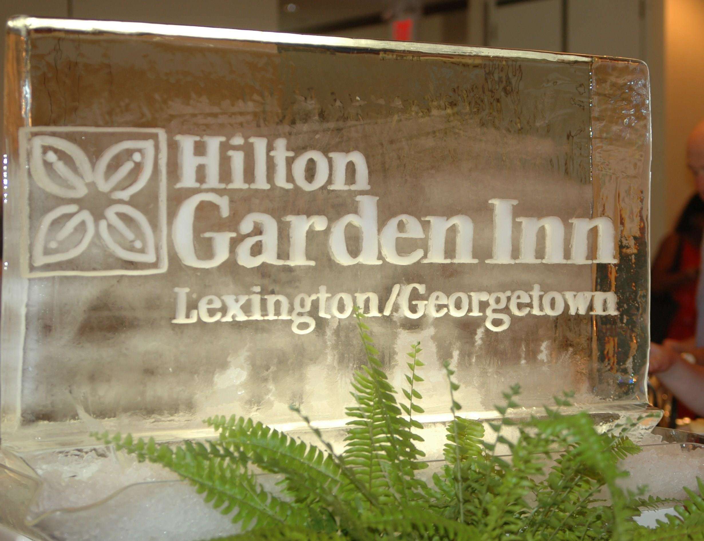Hilton Garden Inn Lexington Georgetown Photo