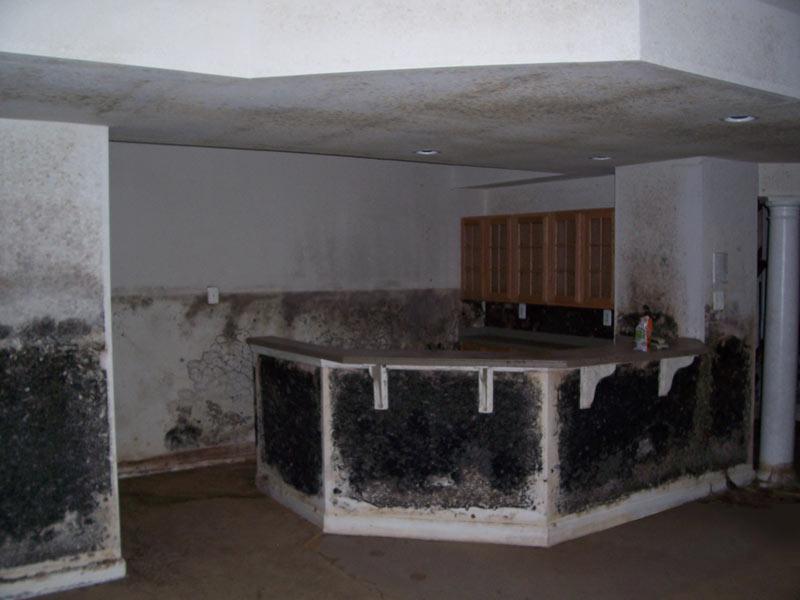 The Gallagher Family had their biggest nightmare.....MOLD. Quality Builders was able to help in the remediation process and the construction of their new kitchen and living area.