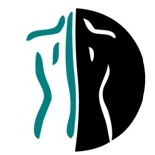 Pittsburgh Chiropractic Logo