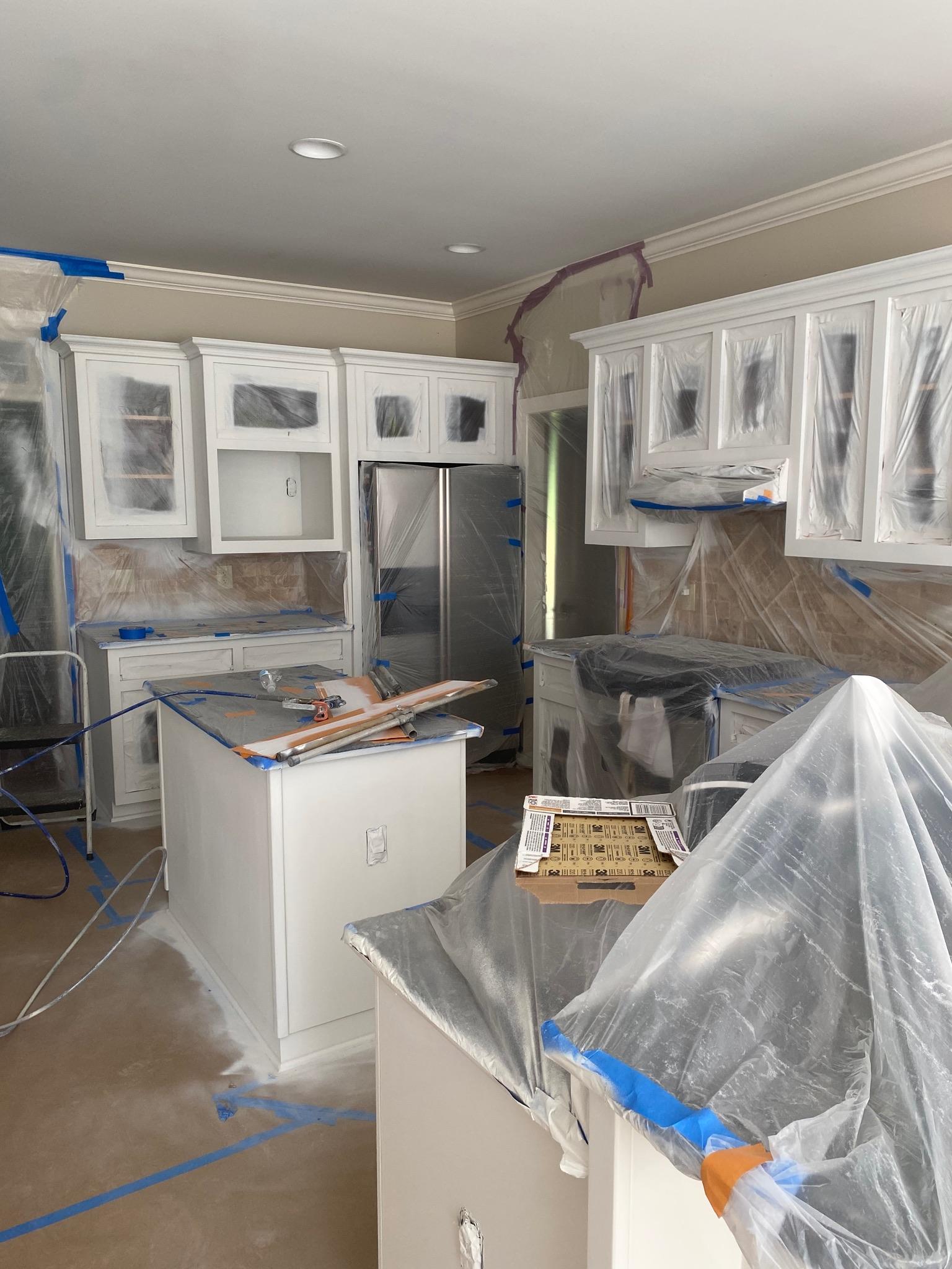 Revive Pro Painting