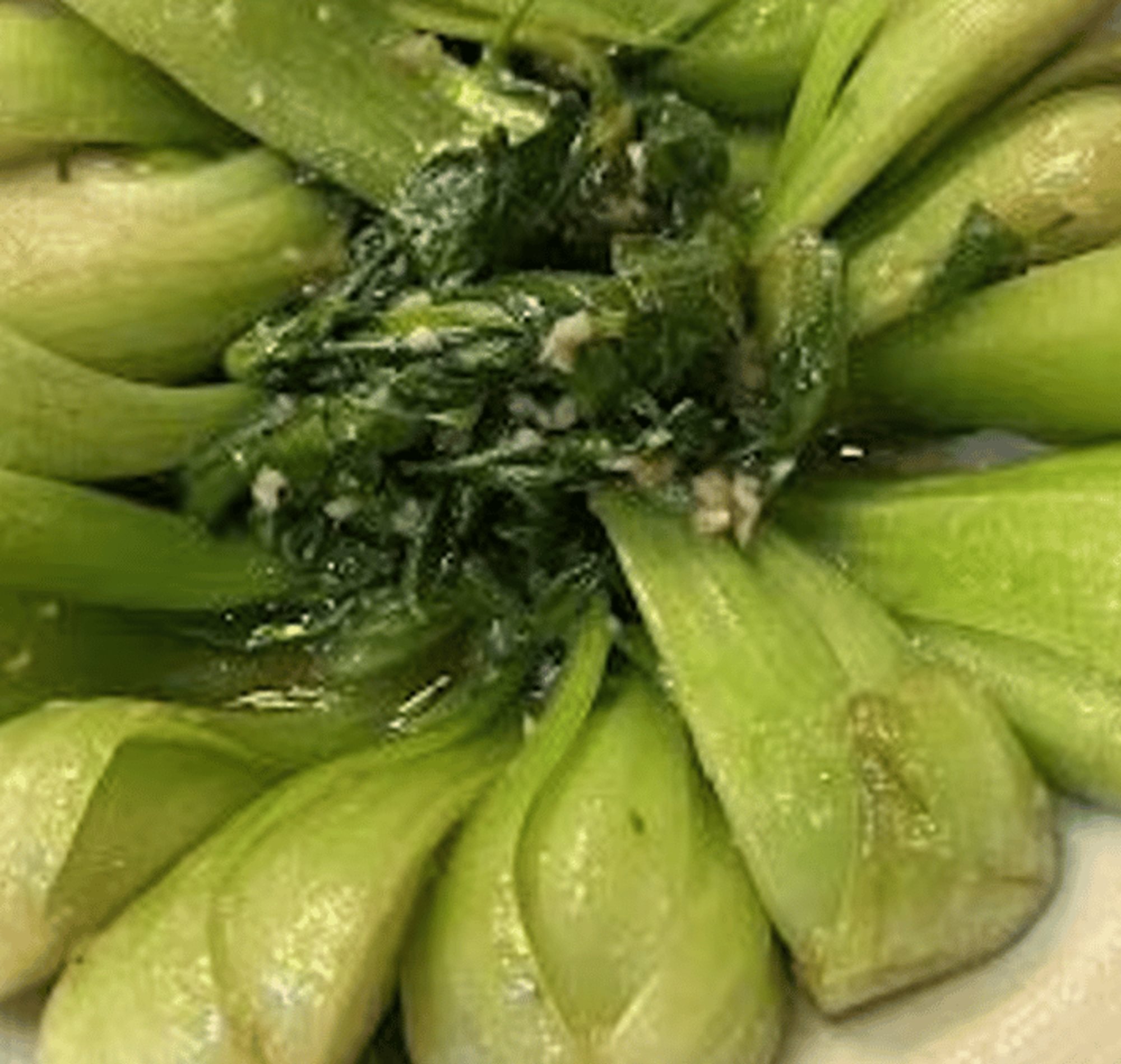 Bok Choy