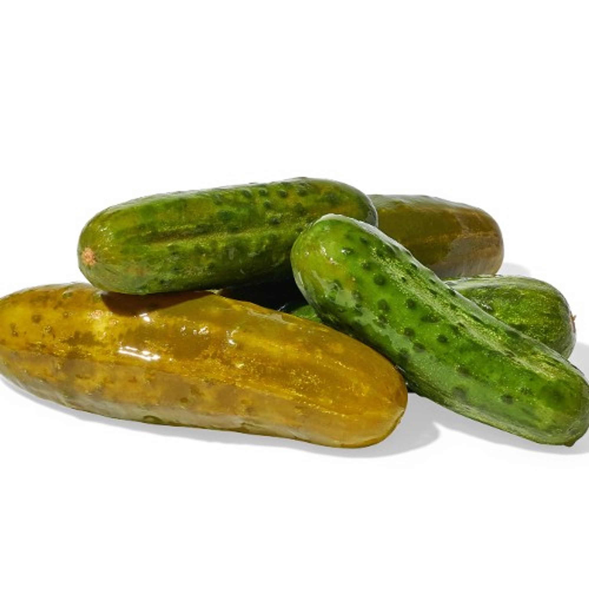 Kosher Pickle