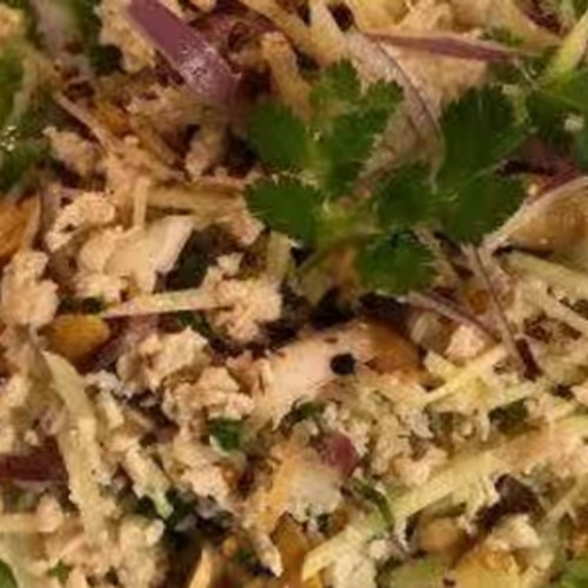 Nam Sod Salad