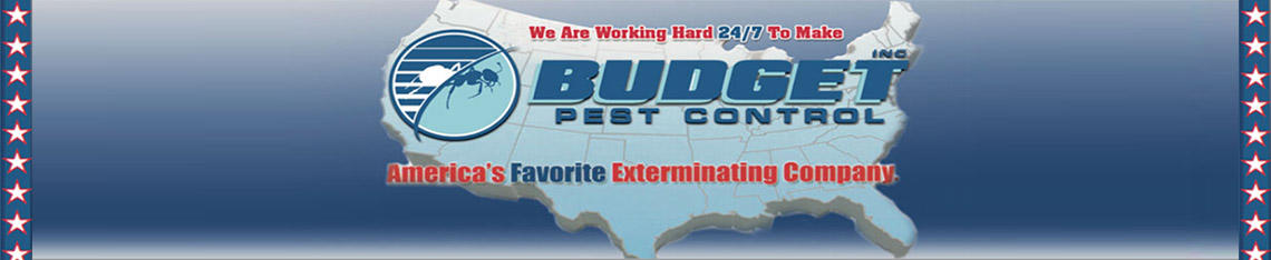 Budget Pest Control, Inc. Photo