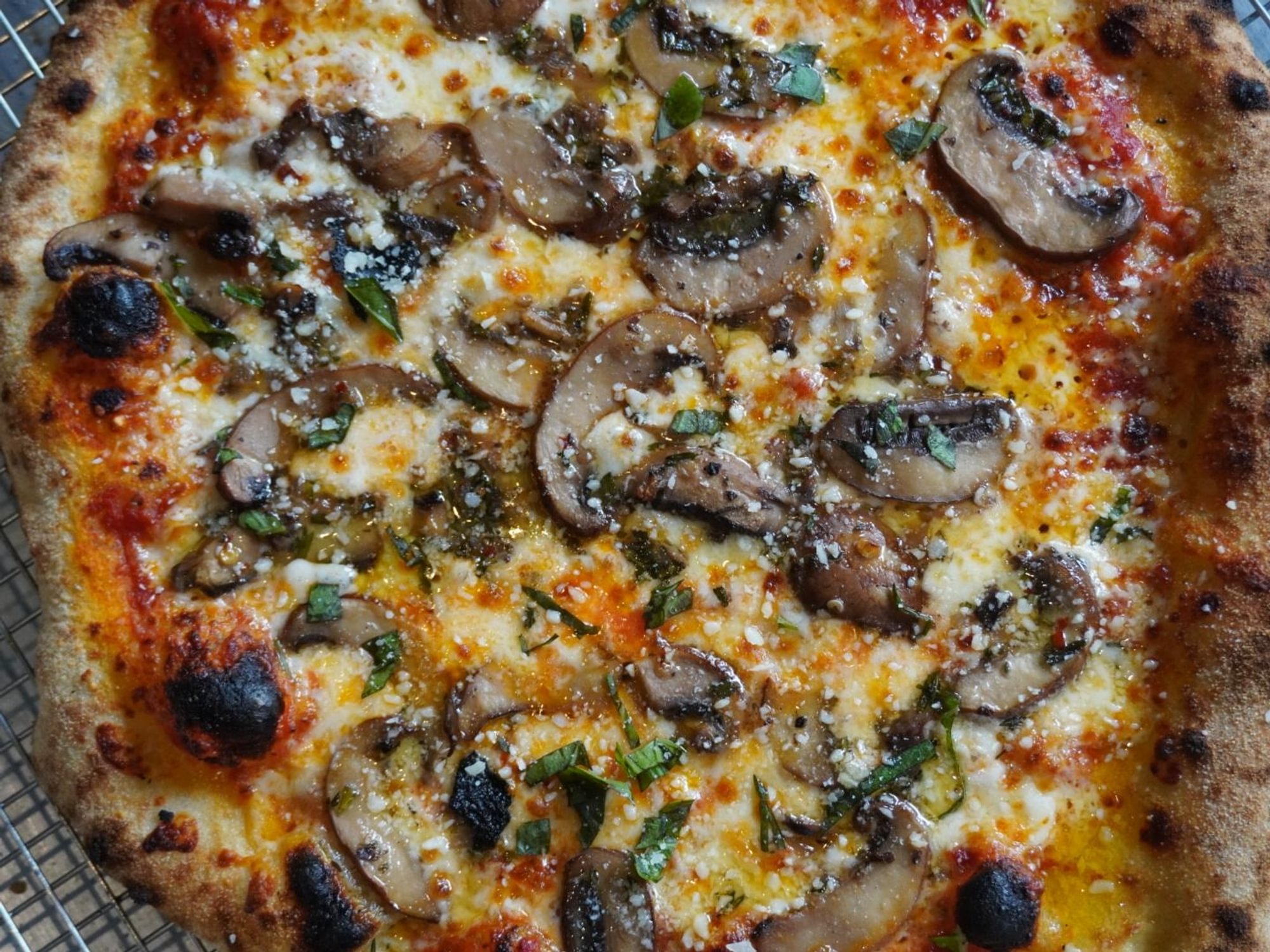 Truffled Mushroom Pie - 13 Inch