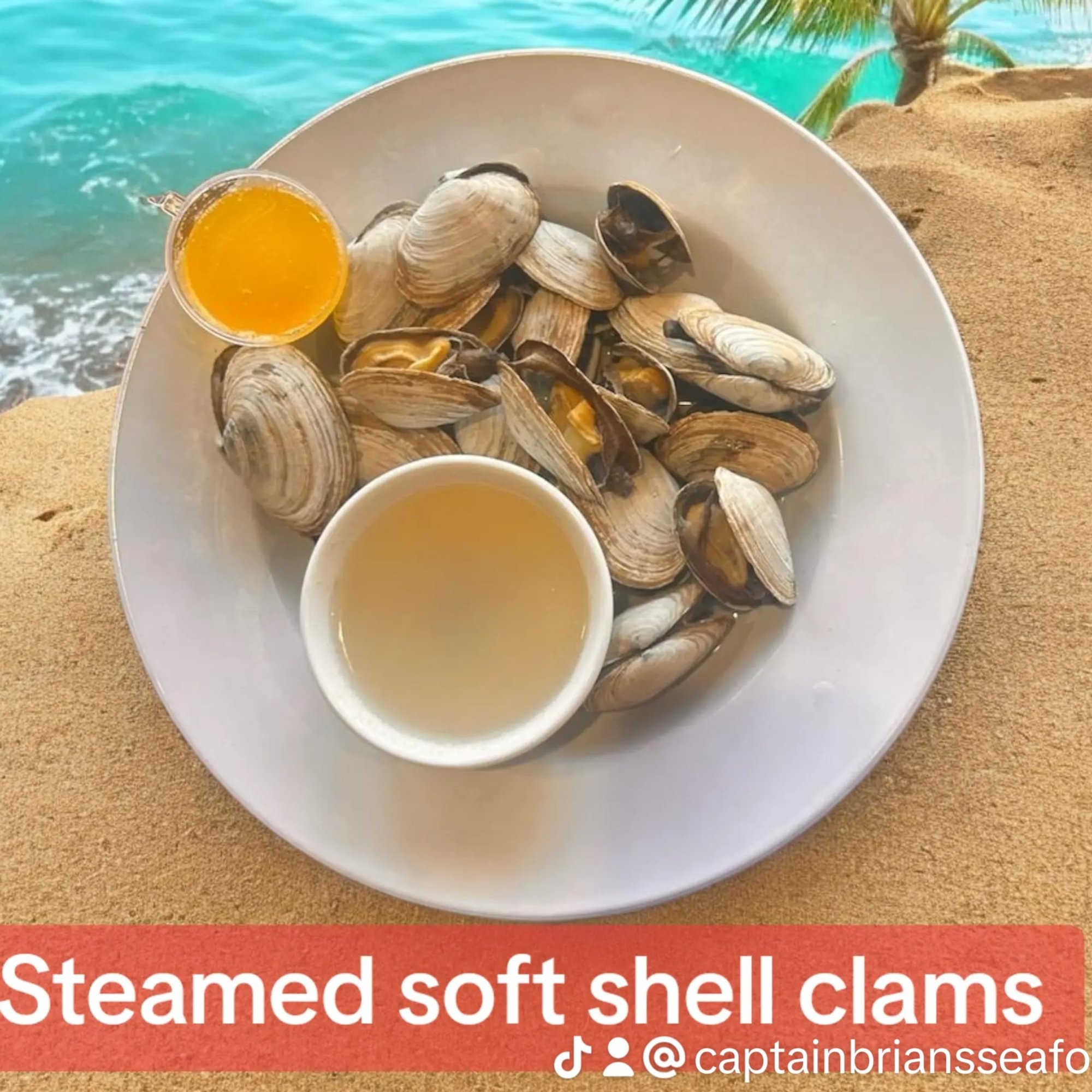 Steamers
