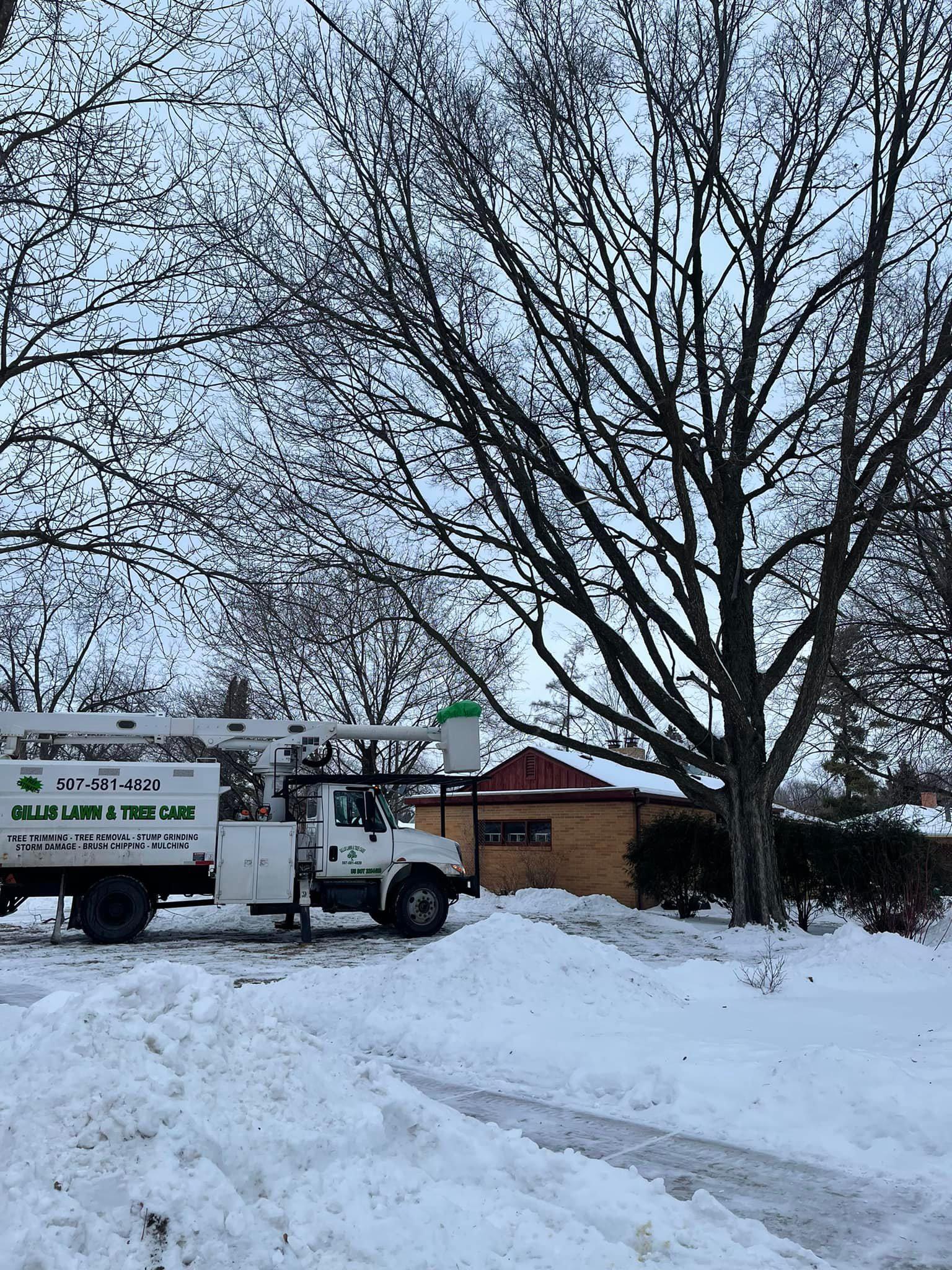 Gillis Lawn and Tree Care, LLC