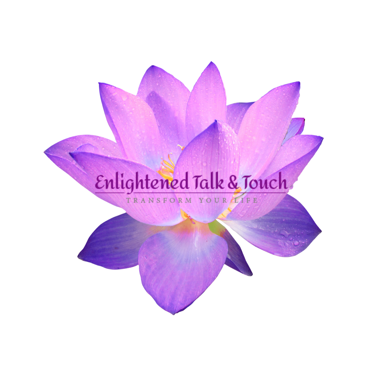 Enlightened Talk And Touch