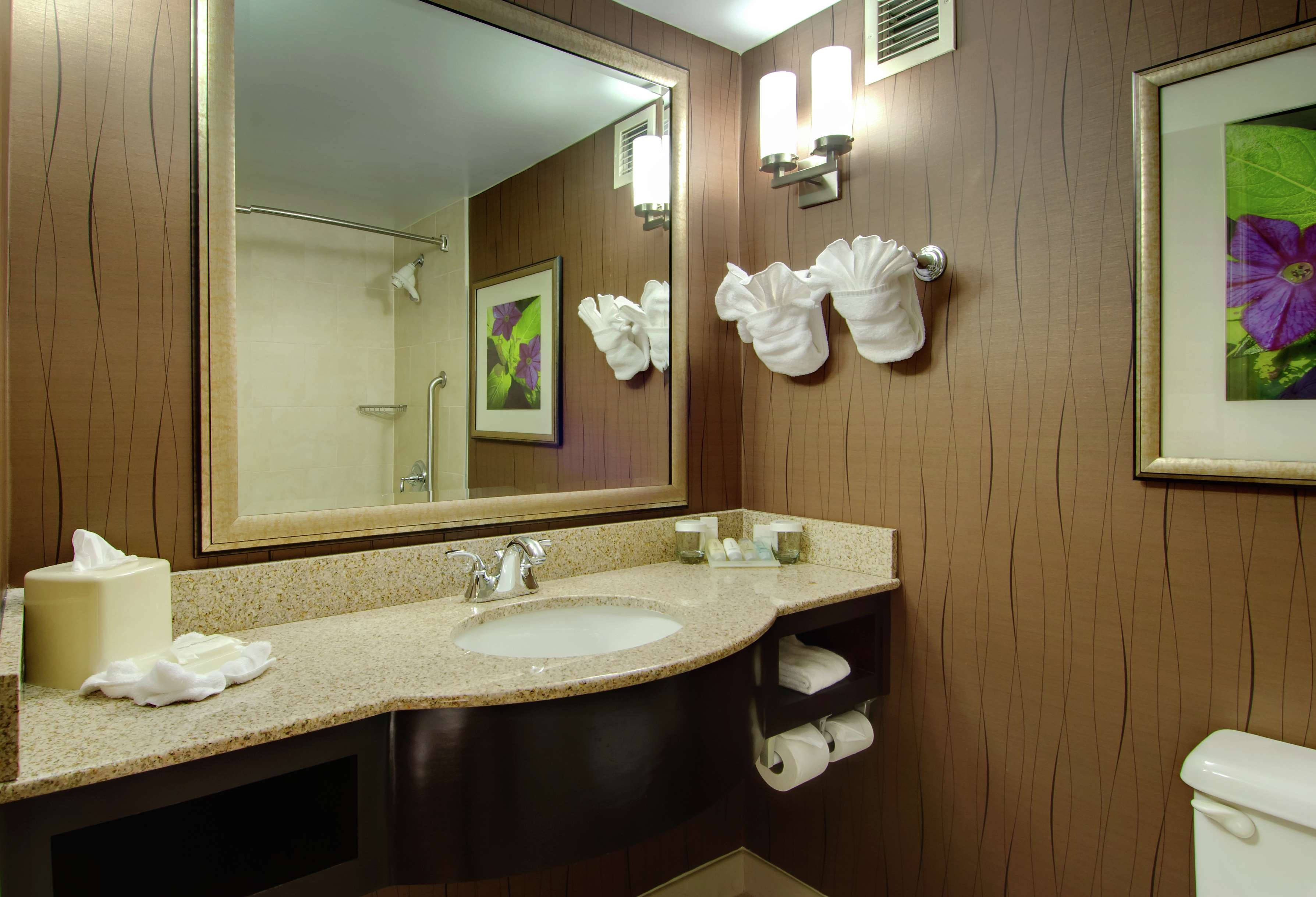 Hilton Garden Inn Raleigh-Durham Airport Photo