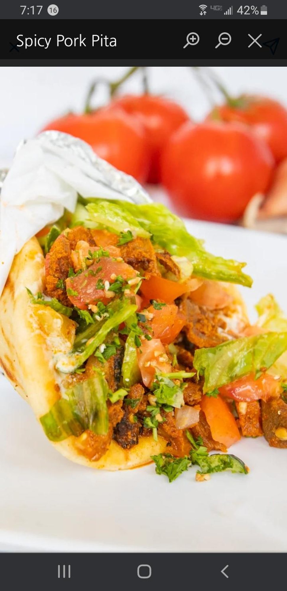 Spicy Pork Gyro