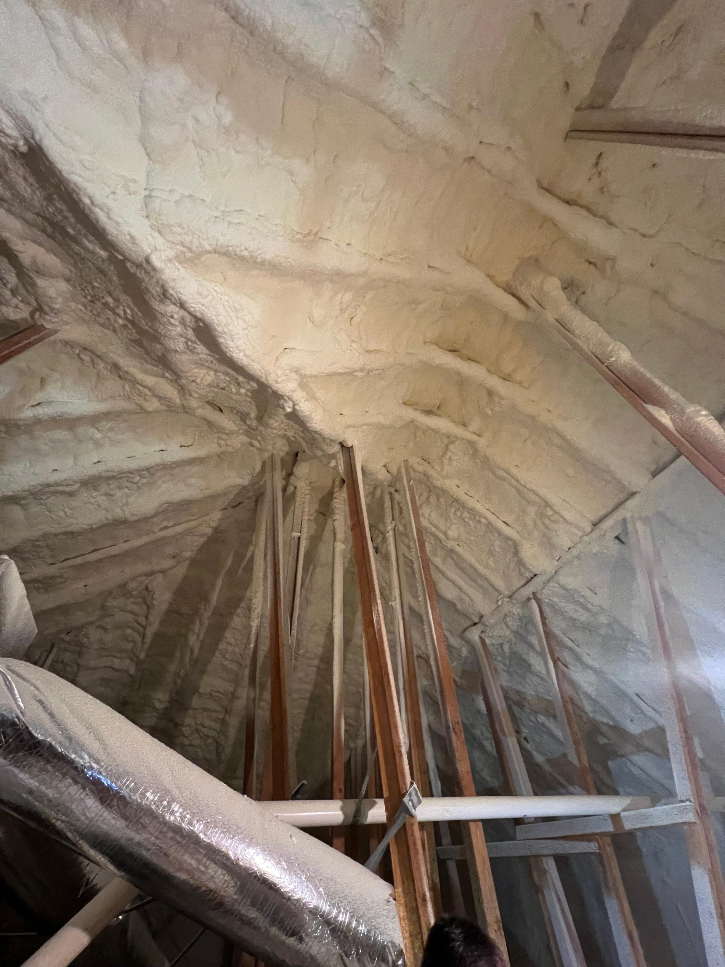 Polar Bear Jack's Home Services, LLC Image