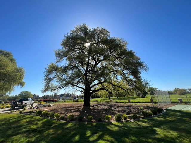 FC Valley Tree Care Inc. Image