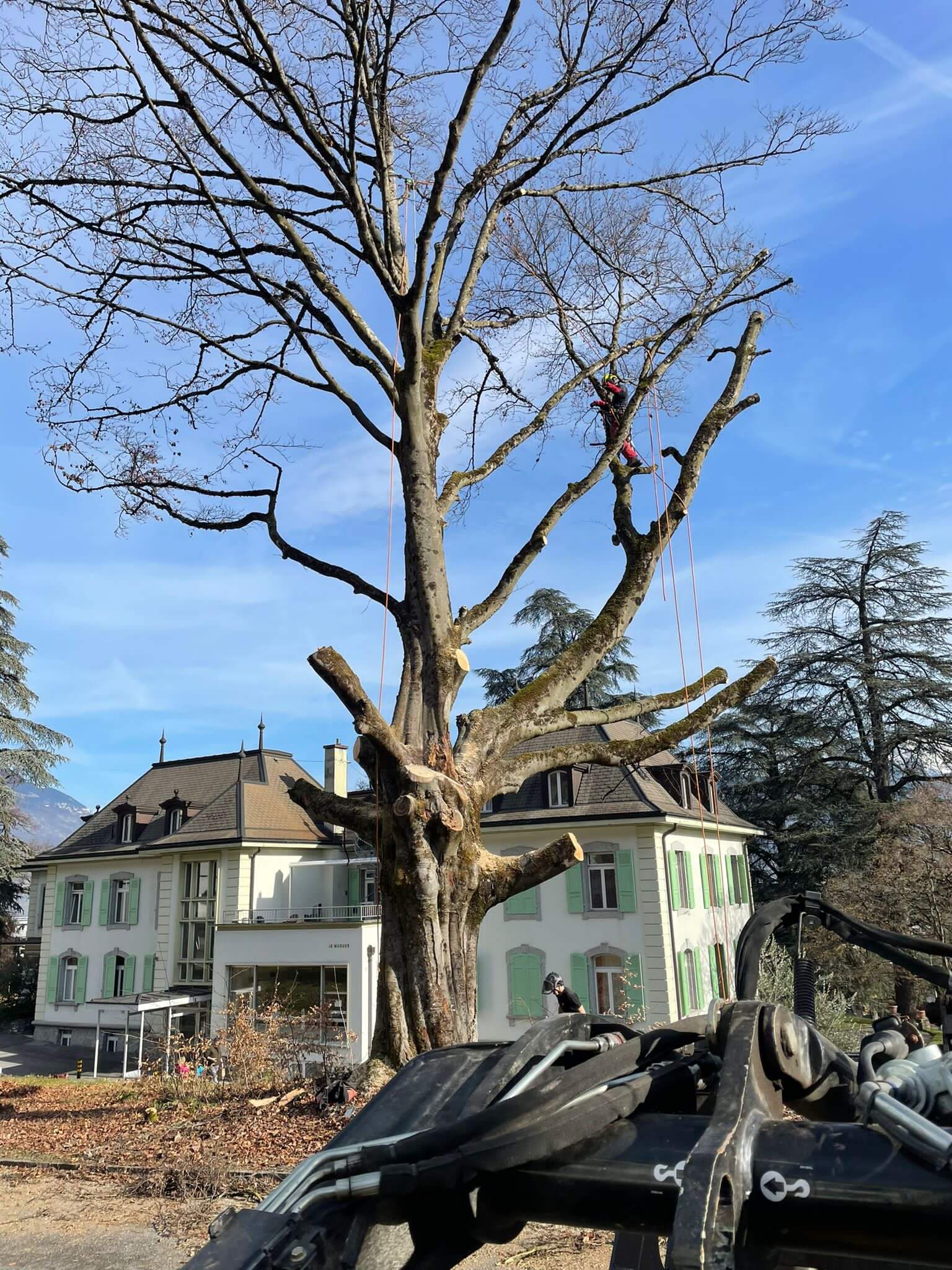 Galerie-Thumbnail
