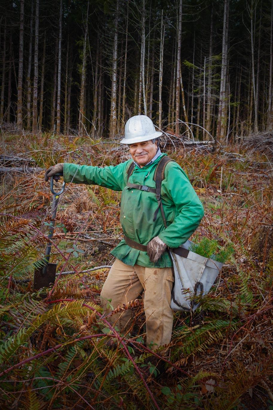 Janicki Logging & Construction Image