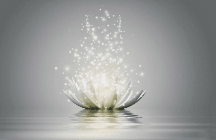 Images Little Oasis Therapies