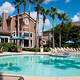 Images Palms at Clear Lake