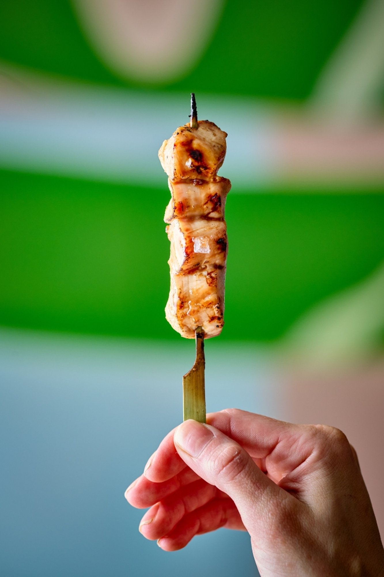 Chicken Breast Yakitori