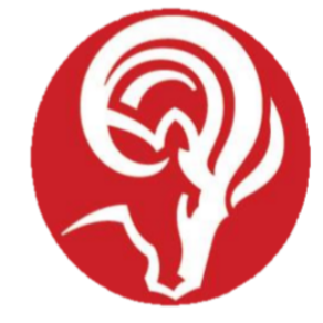Ram Jack Foundation Solutions