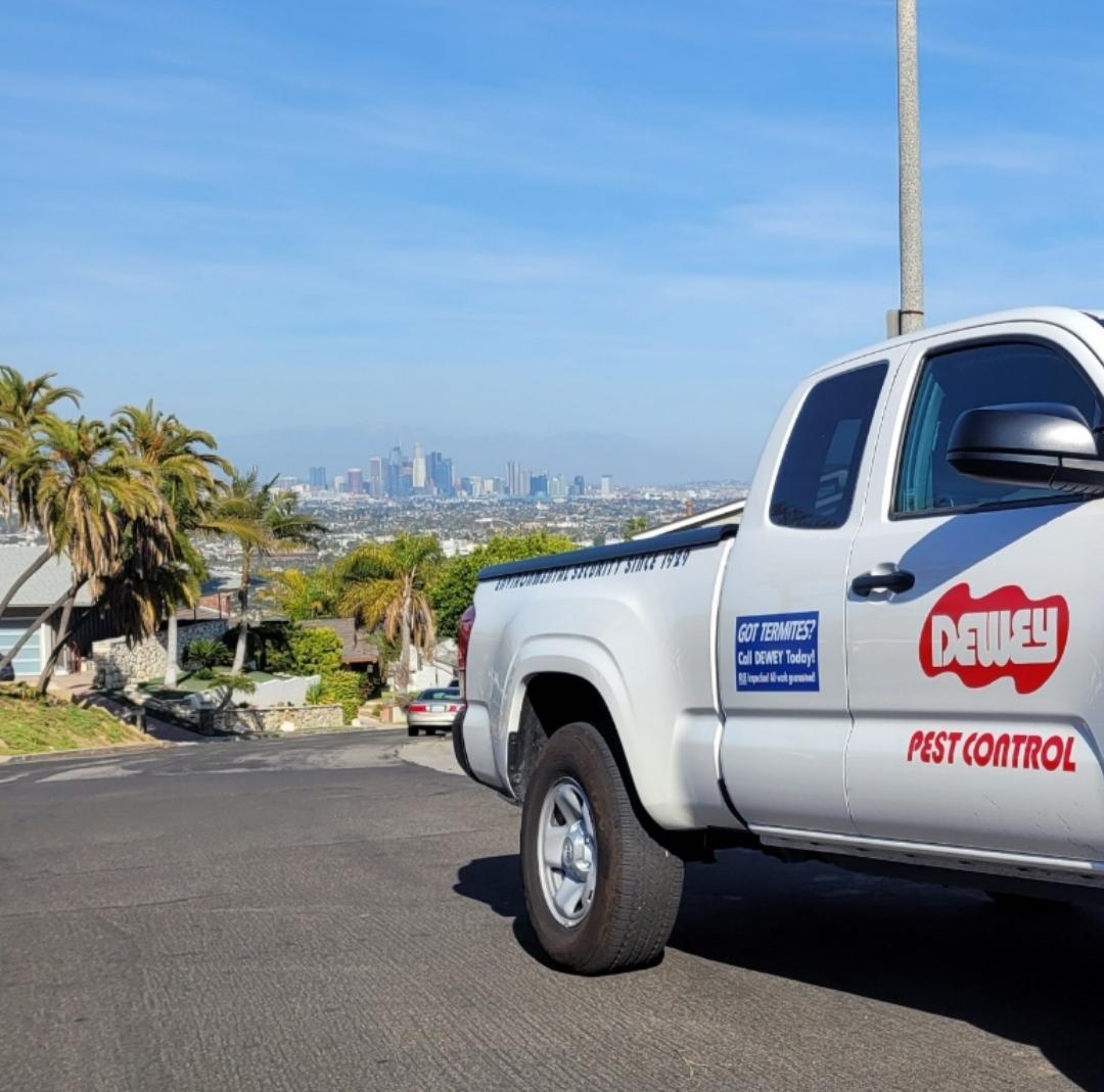 Dewey Pest & Termite Control Image