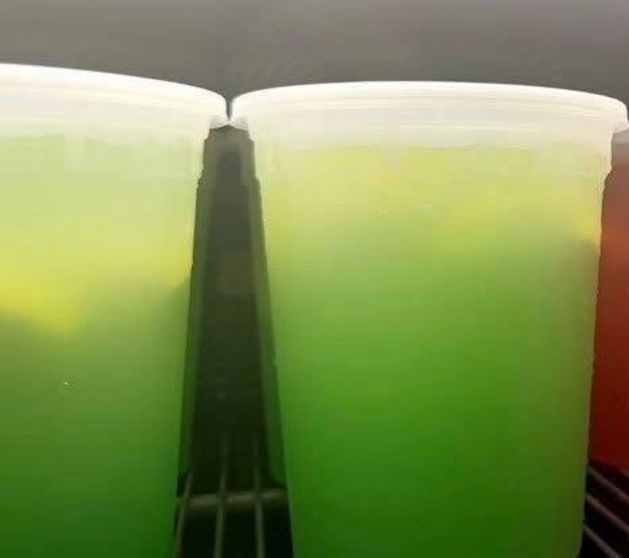 Green Apple 32oz Lemonade
