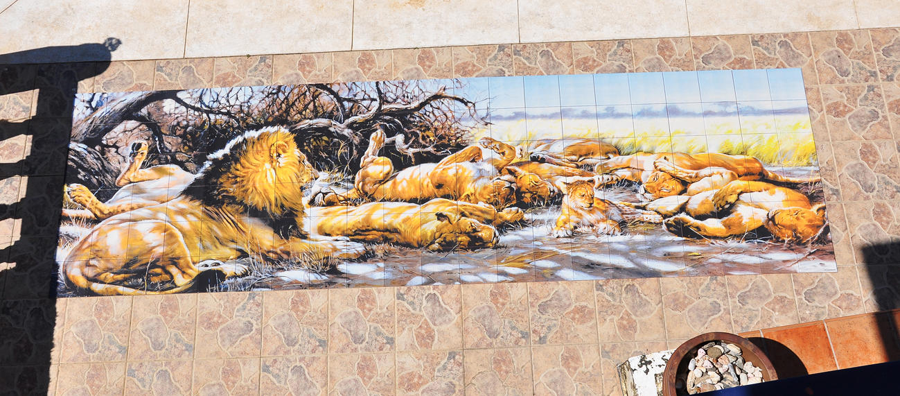 Galería en miniatura