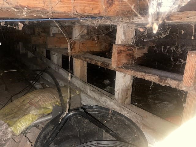 All Natural Pest Elimination Image