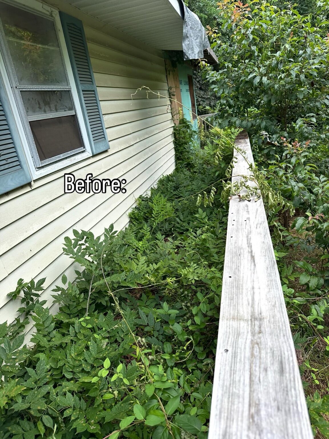 EZ Yard & Junk Image