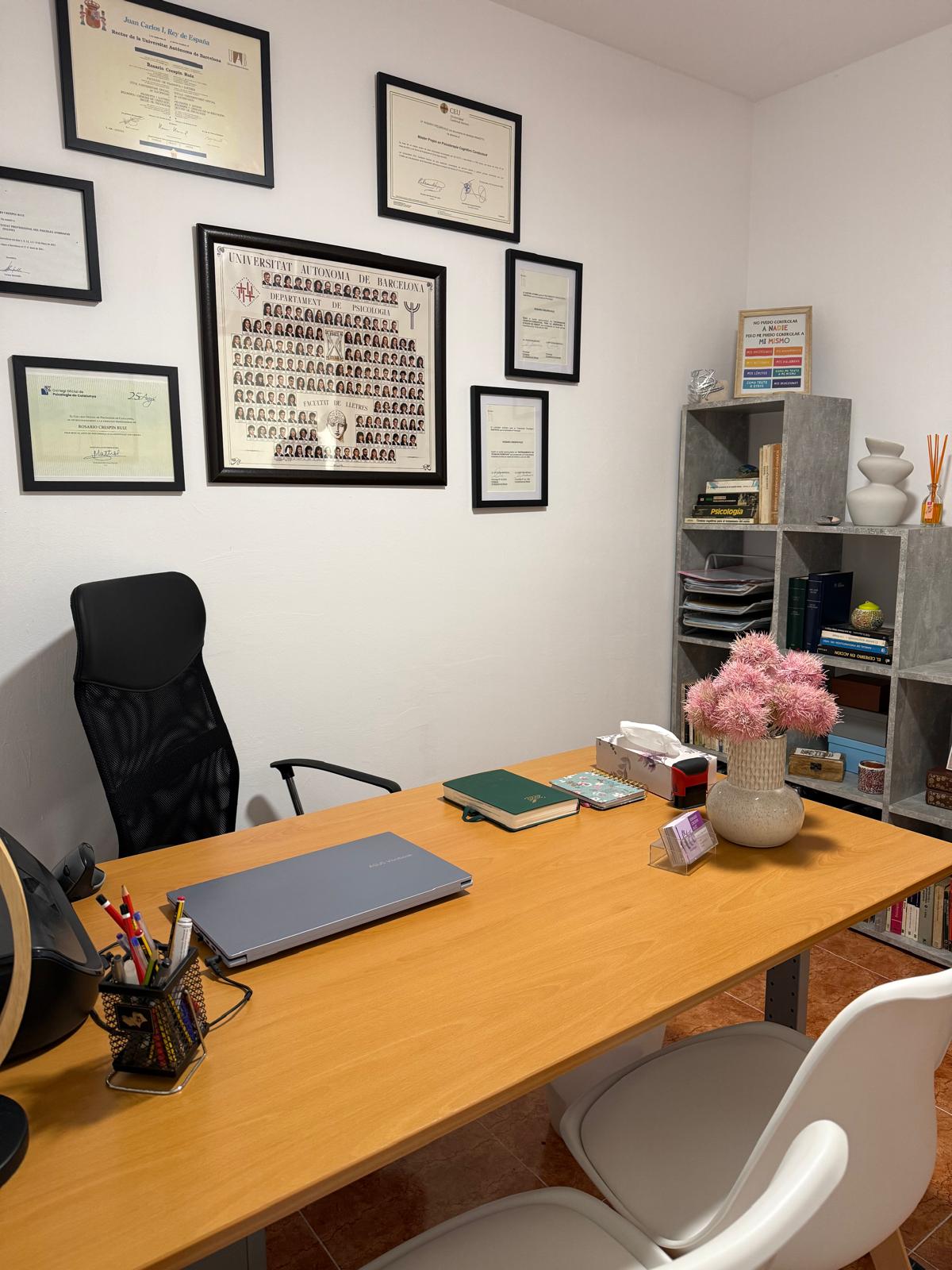 Galería en miniatura