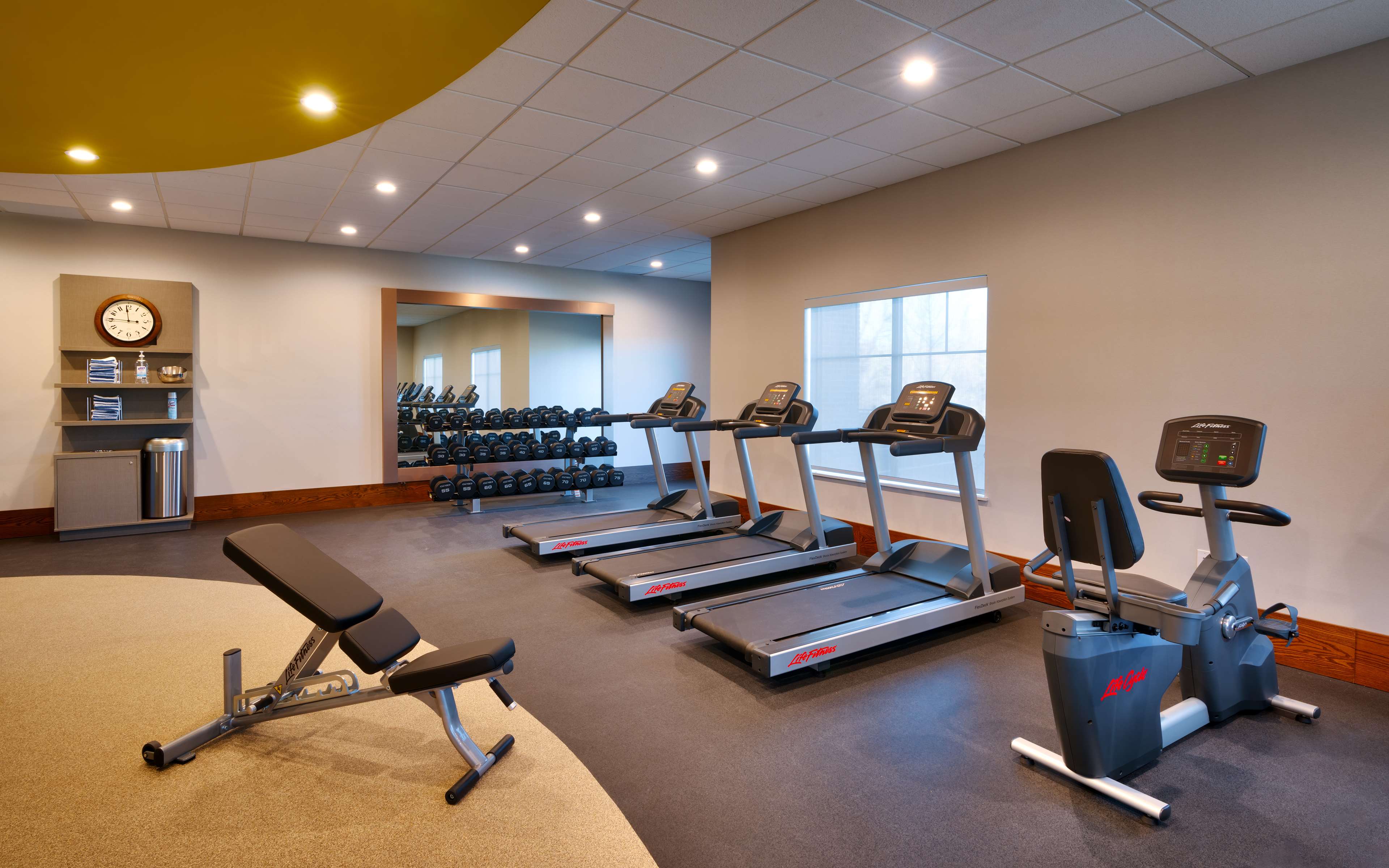 Health club  fitness center  gym