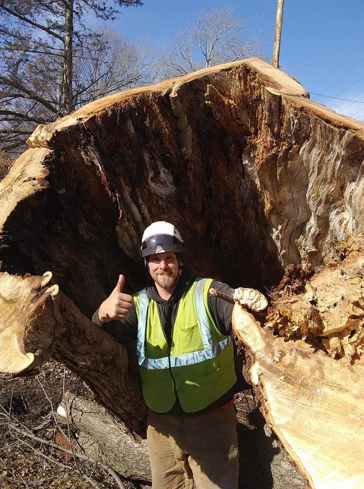 Tom Fuller Tree Service LLC Logo