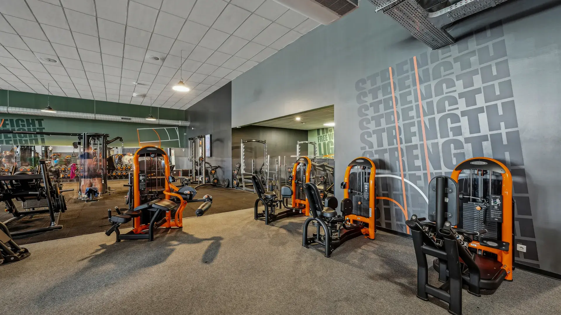 Miniature de la galerie