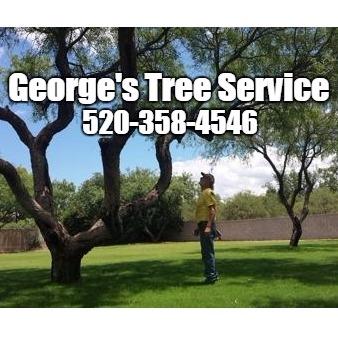 George&apos;s Tree Service Logo